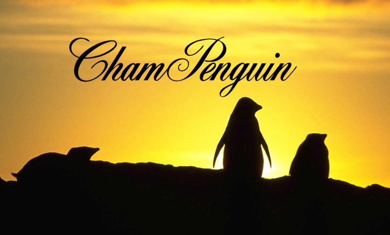 ChamPenguins-domain-29.jpg
